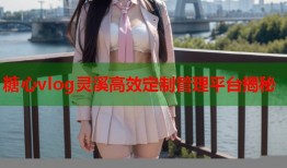 糖心vlog灵溪高效定制管理平台揭秘
