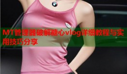 MT管理器破解糖心vlog详细教程与实用技巧分享