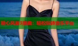 糖心风暴3插曲：轻松玩转音乐平台