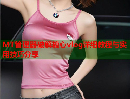 MT管理器破解糖心vlog详细教程与实用技巧分享